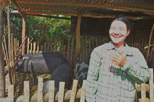 Village pig farm