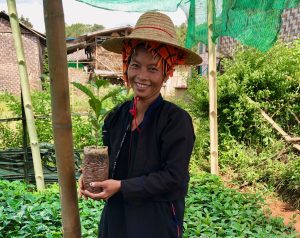 Wai Ti and Coffee Plant