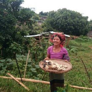 Bwar Kyi, Community Loan Fund borrower, Aung Lel village